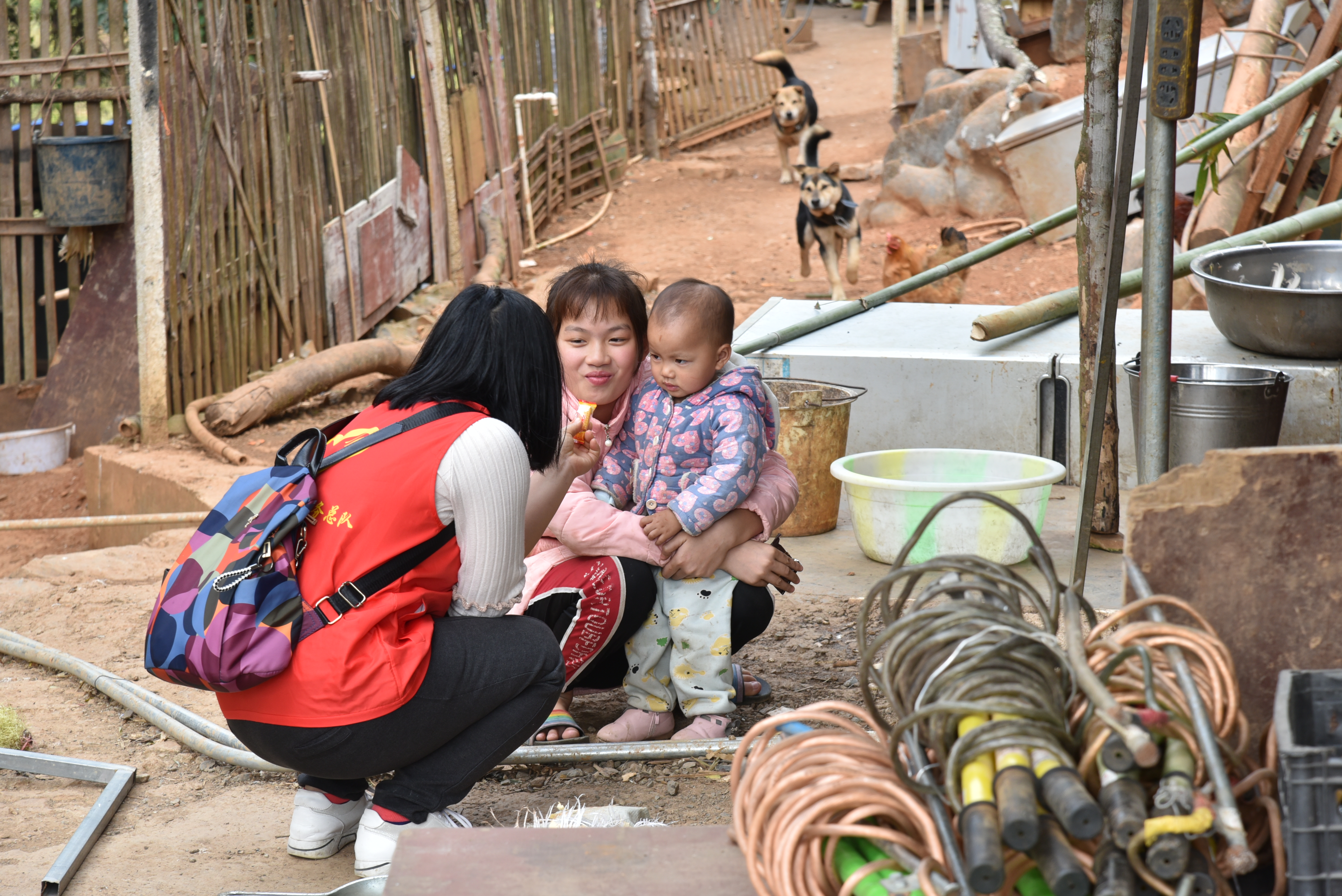 ����� | �ٷ���վ